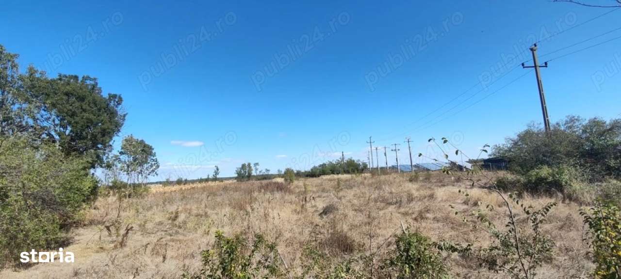 Teren intravilan 2.441 mp  – ideal casă / solar / fotovoltaice - Imagine principală: 4/6