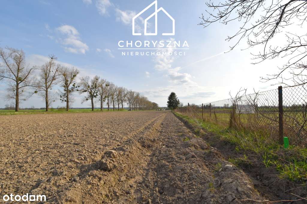 Działka budowlana w Bierutowie -możliwość podziału-13