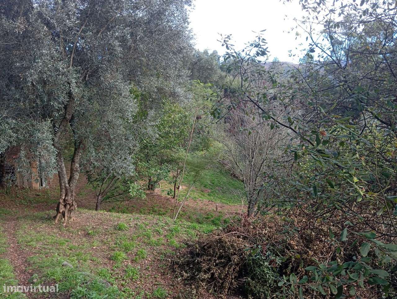 Terreno com viabilidade de construção em Palmaz - Grande imagem: 5/8