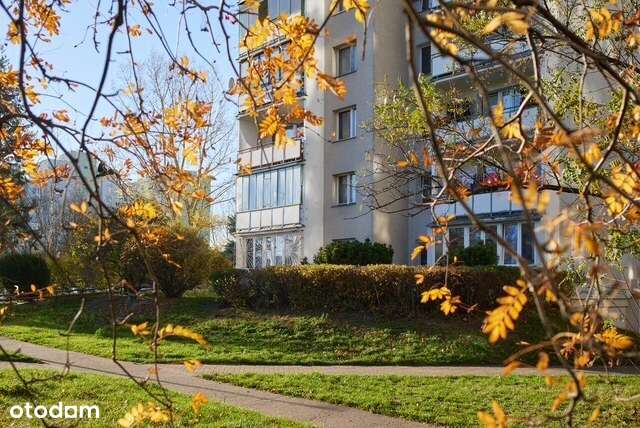 Dwa pokoje na parterze przy metrze Imielin-11