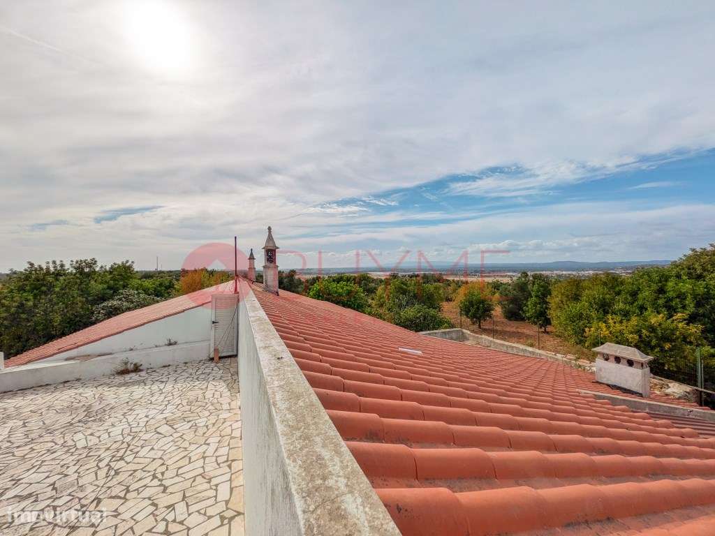 Moradia Rústica T6 com 5 Hectares em Tunes, Silves-36