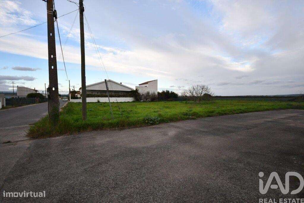 Terreno em Azinhaga de 375,00 m2 - Grande imagem: 5/30