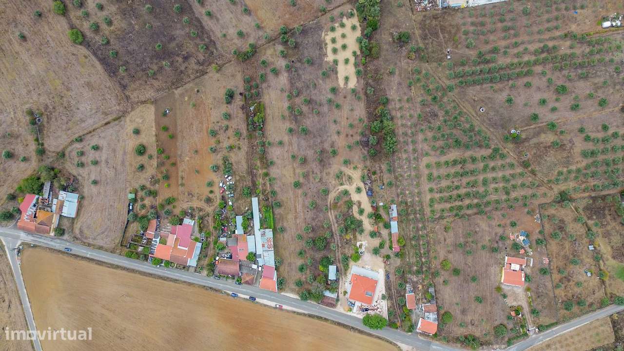 Moradia C/ Terreno Misto de Olival-13