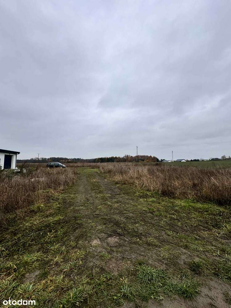 Działka  15ar w Chróstniku - okazja. - Pełny obrazek: 4/8