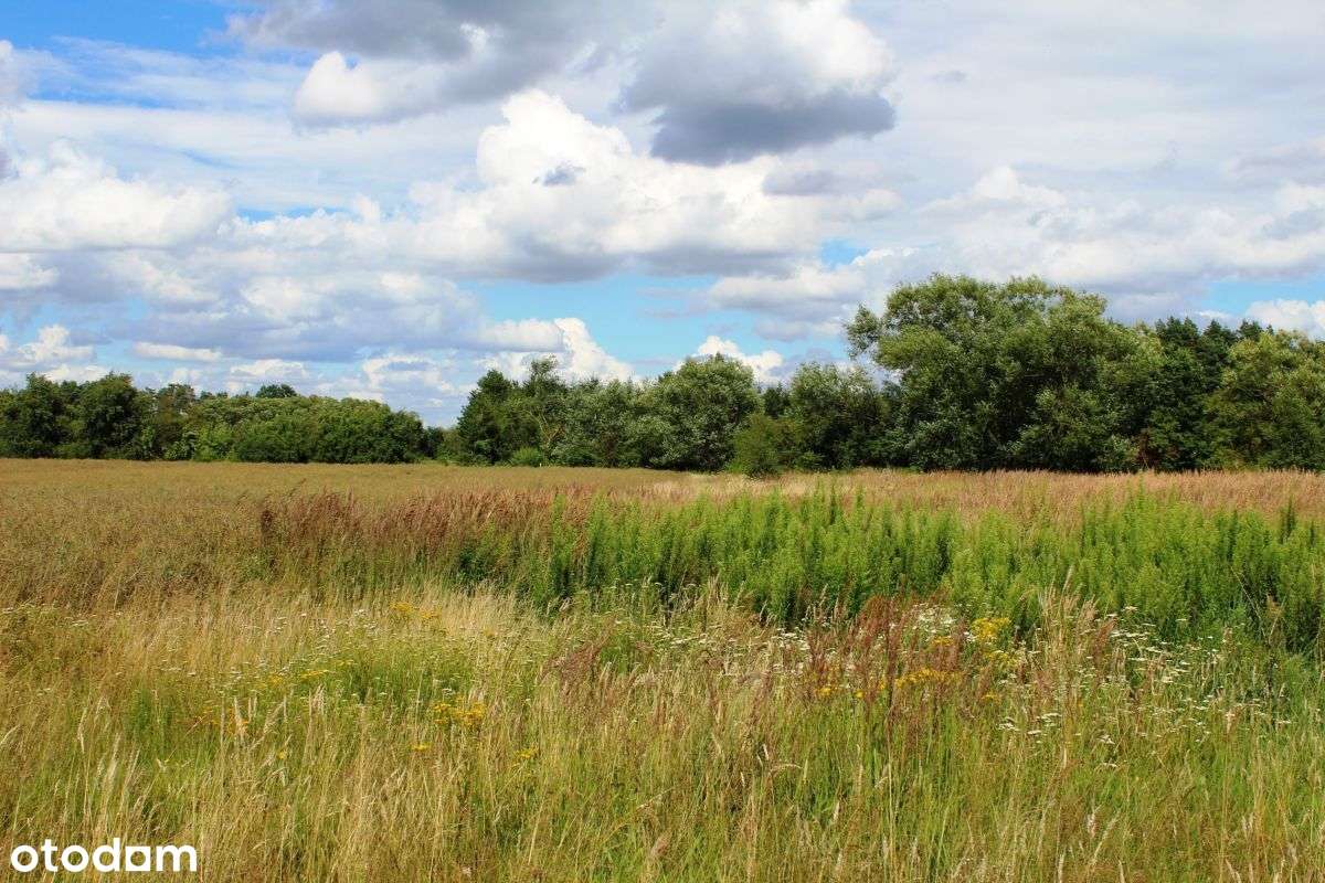 Ziemia orna z potencjałem-1