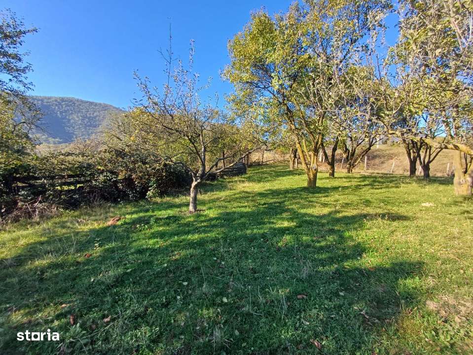 Parcelele cu cele mai bune preturi din judet-4