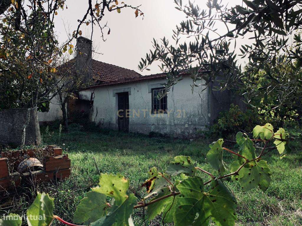 Moradia T3, Infesta, Pombal - Grande imagem: 3/20