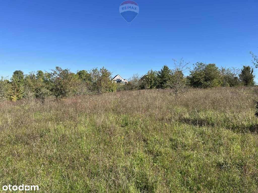 Działka na Mazurach - 3 chwile do jeziora - Pełny obrazek: 5/18