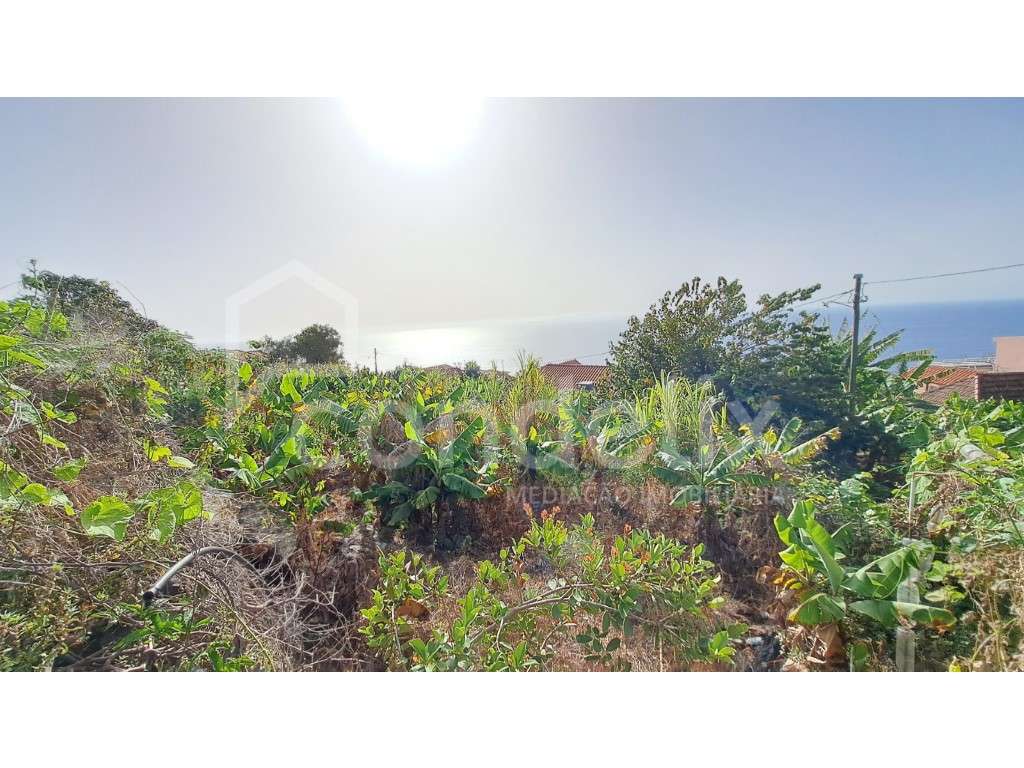 Terreno em Santa Cruz com vista mar - Grande imagem: 1/13