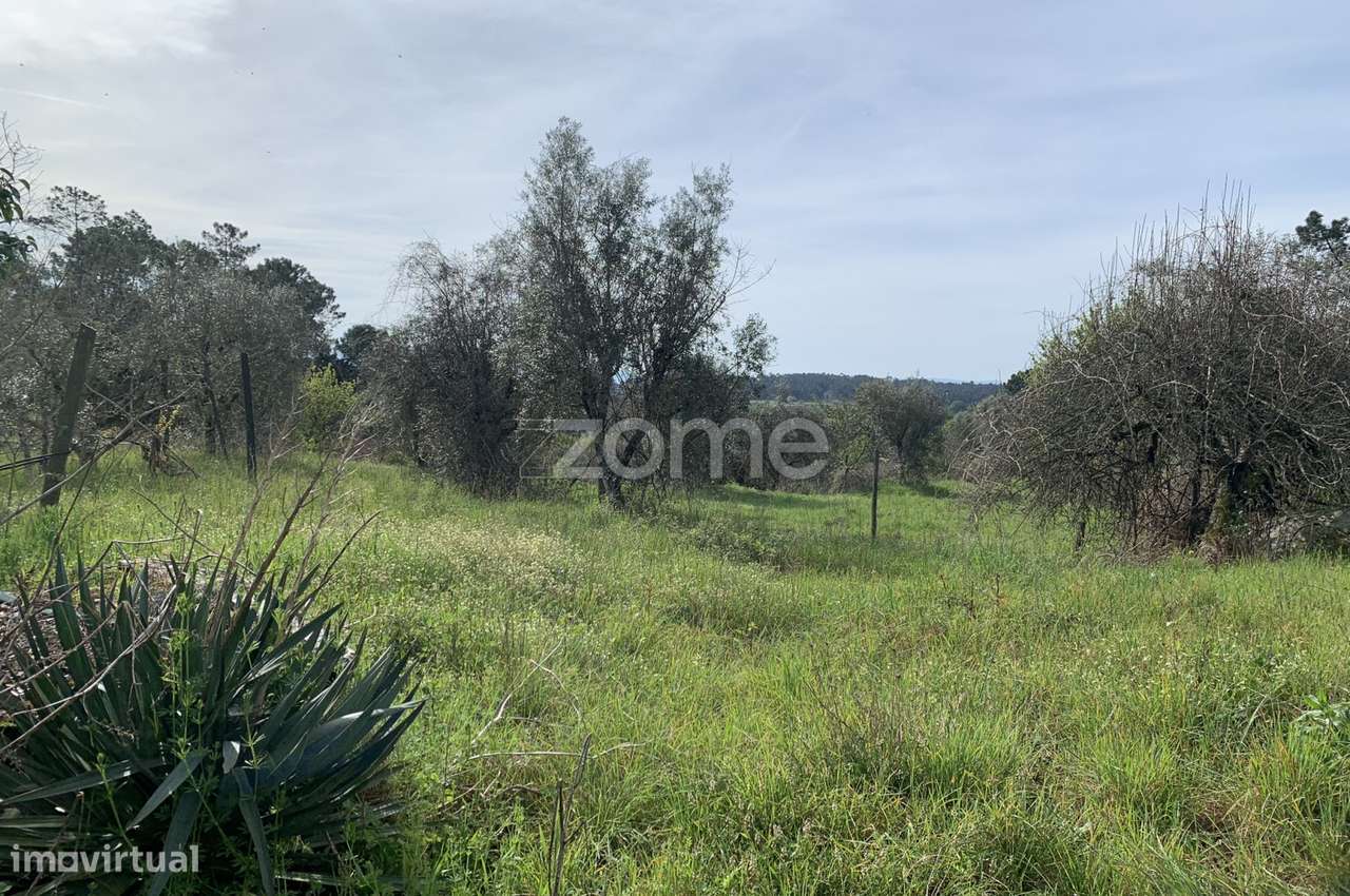 Terreno Urbanizável - Grande imagem: 3/16