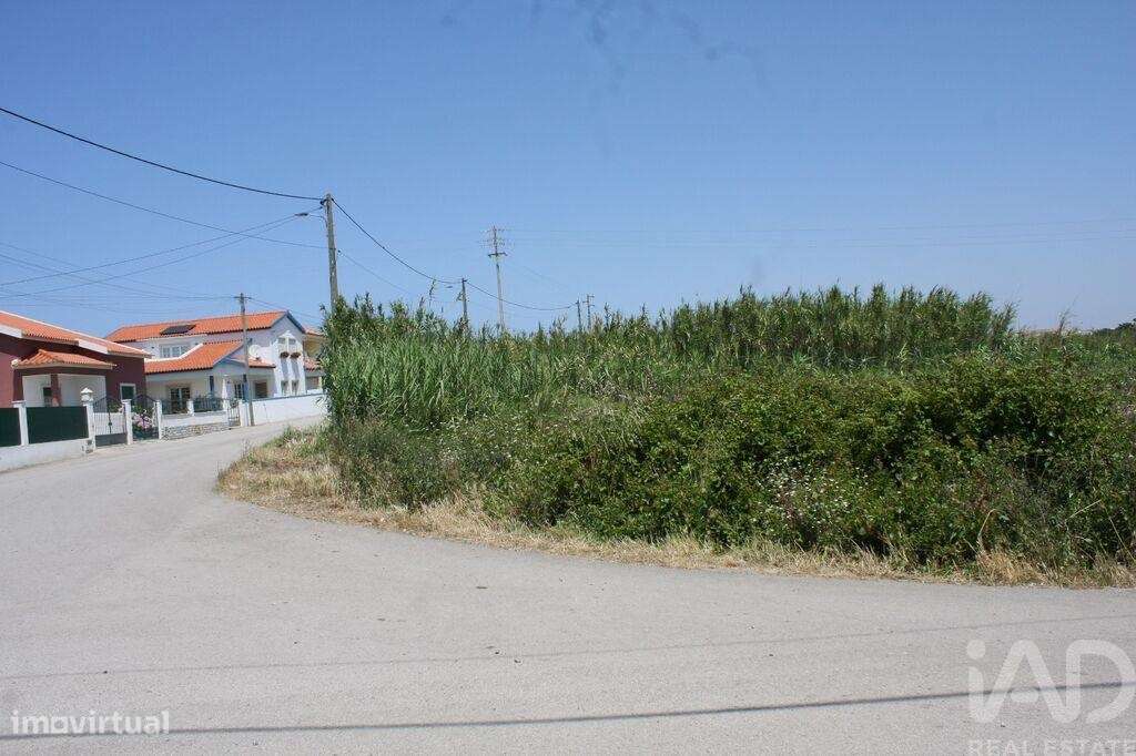Terreno em A dos Cunhados e Maceira de 4160,00 m2 - Grande imagem: 2/14