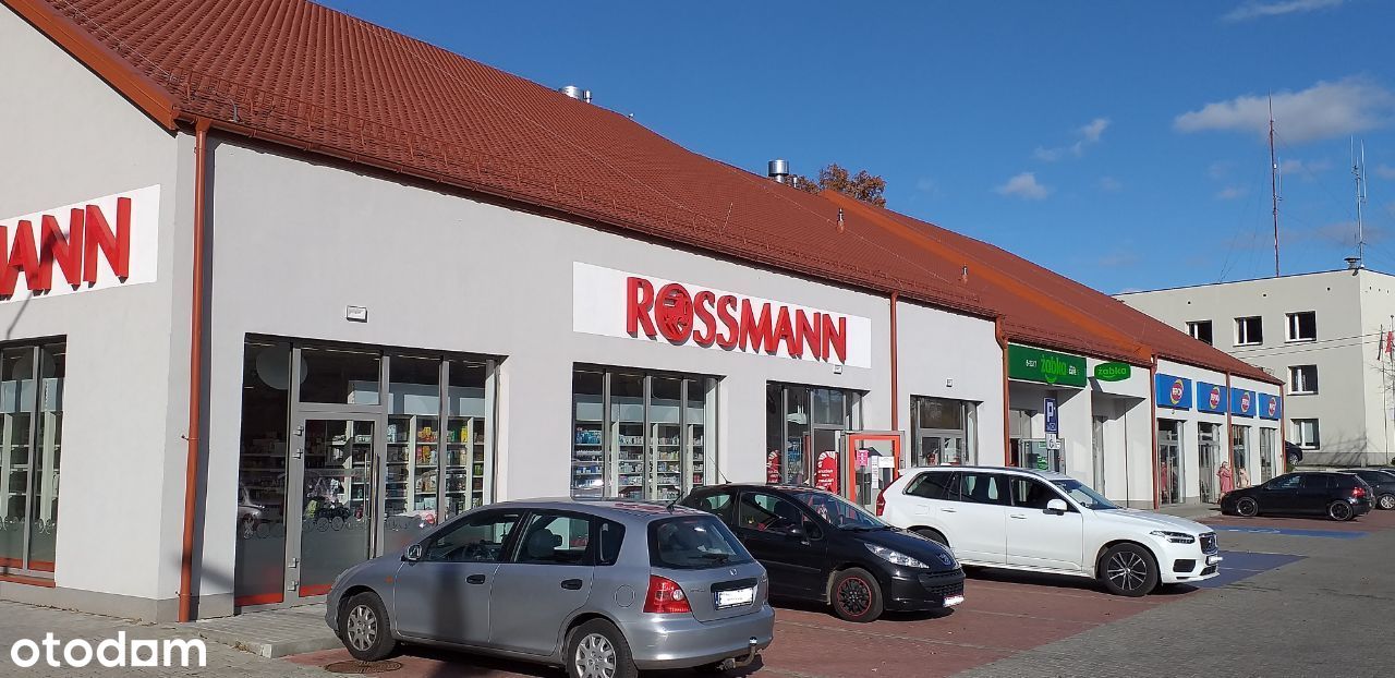 Rossmann, Pepco, Żabka, stabilny dochód- Przemków