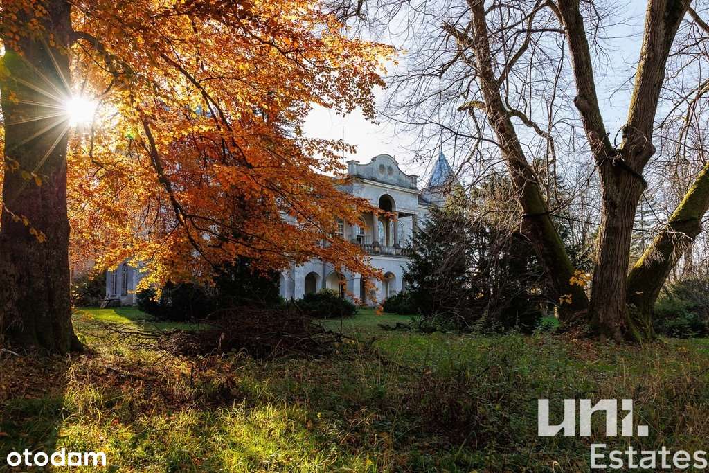 Wyjątkowy Pałac Ostaszewskich | Wzdów | Okazja - Pełny obrazek: 5/19