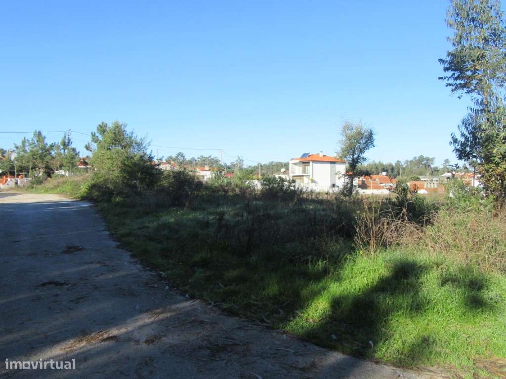 Terreno para construção na zona de Monte Real - Grande imagem: 4/9