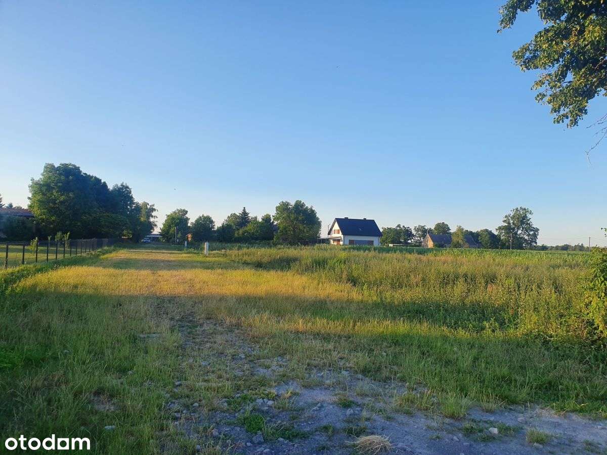 Goniczki k/Wrześni działka budowlana-9