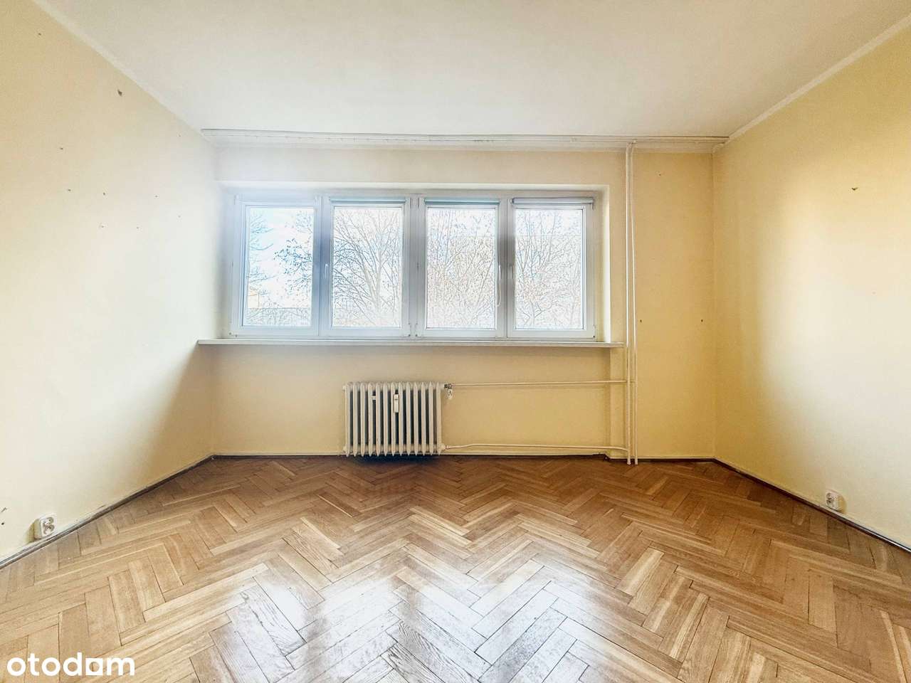 Okazja! Duże możliwości | ul. Podwale| Idealne pod inwestycję | 42,5m2-2