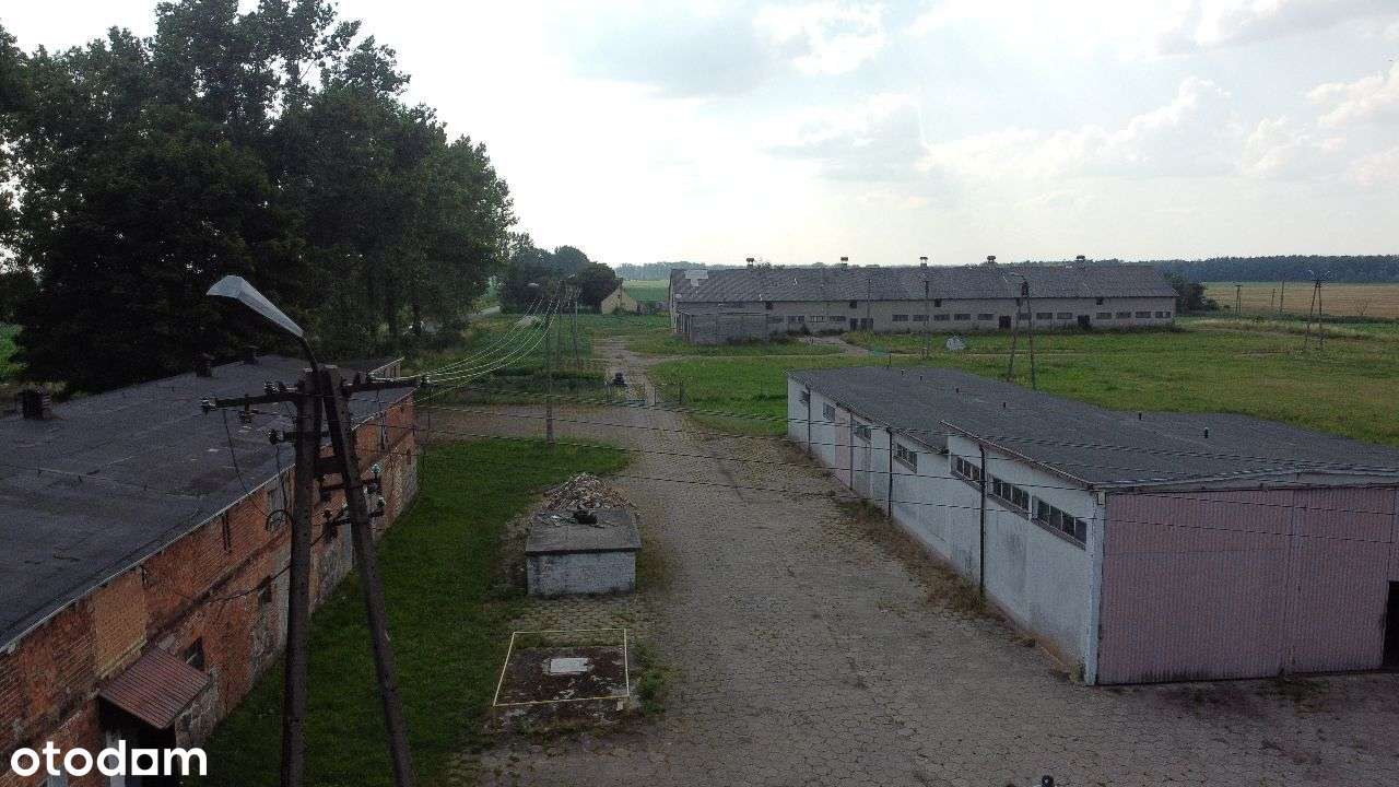 Orlinek/hale 4091m2 /działka 20584m2/ogrodzona - Pełny obrazek: 5/10
