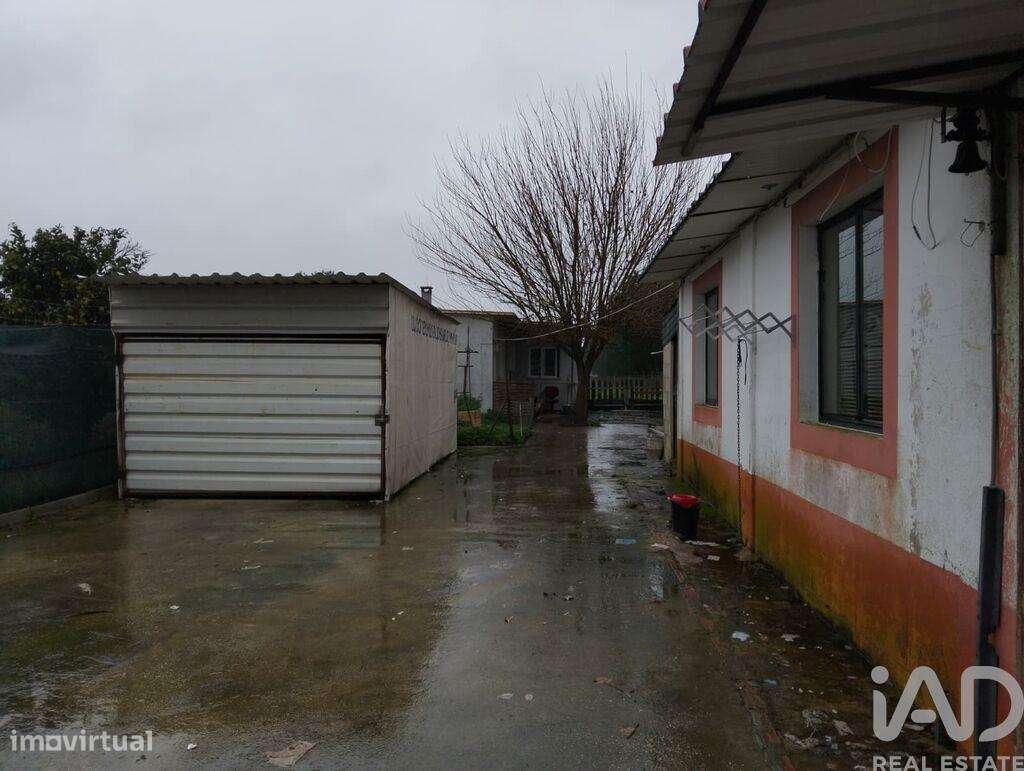 Terreno Agrícola em Almeirim - Grande imagem: 5/17