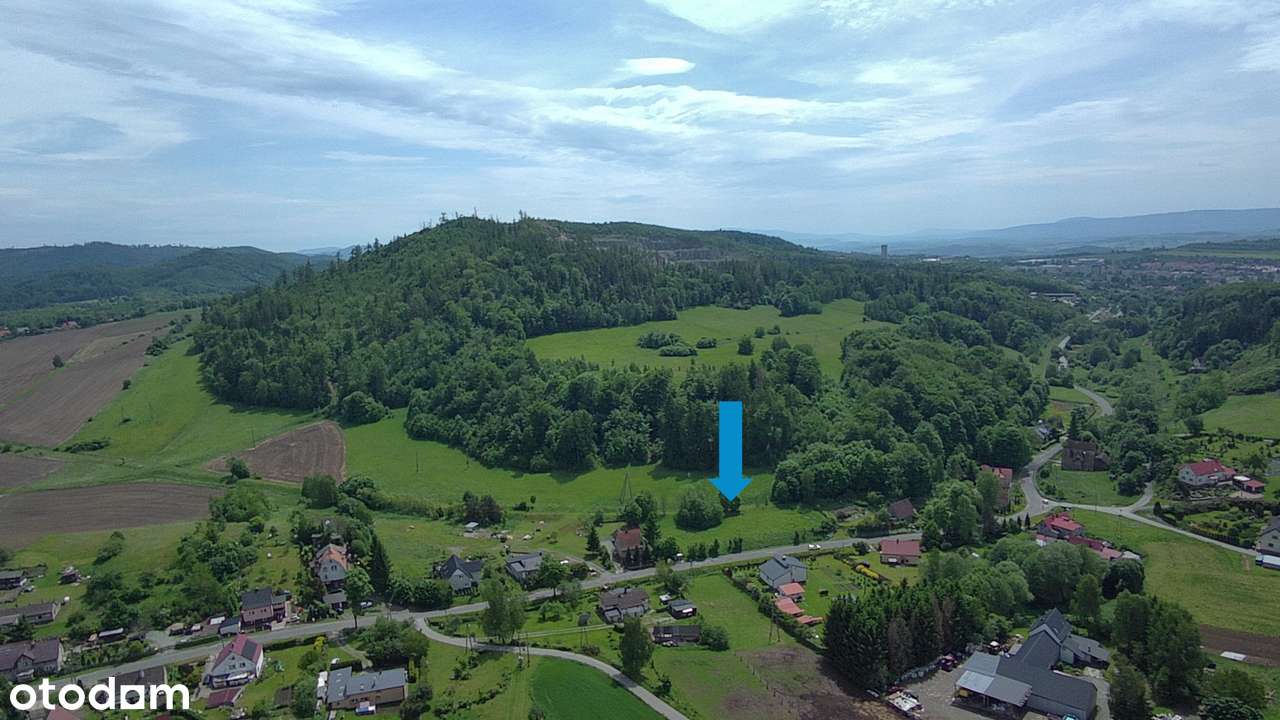 działka budowlana - Góry Sowie - Dzikowiec - Pełny obrazek: 4/7