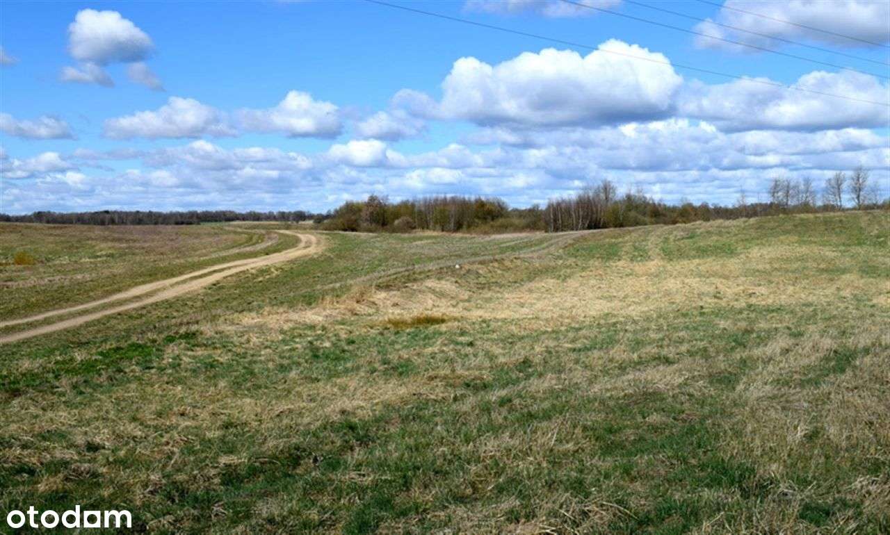 Działka rolna - Drawsko Pomorskie - Pełny obrazek: 4/18