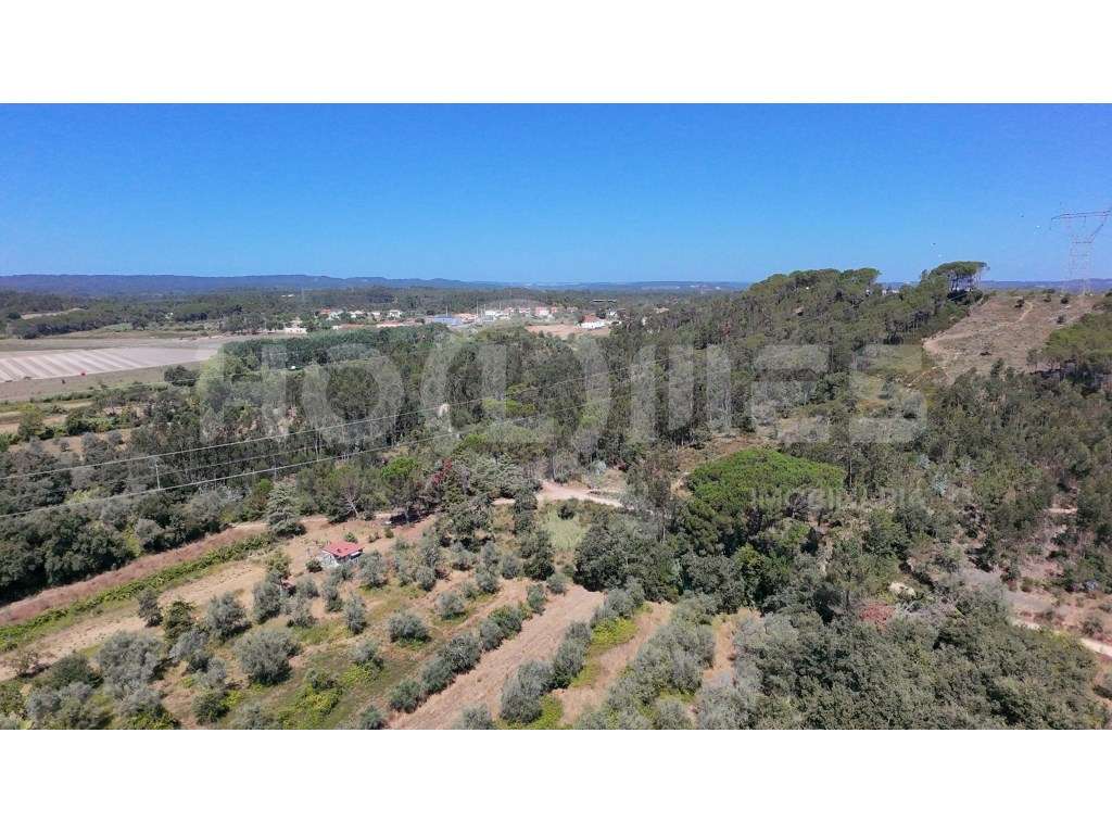 Terreno Agrícola com Estufas Preparadas para Produção em Hidroponia...-10