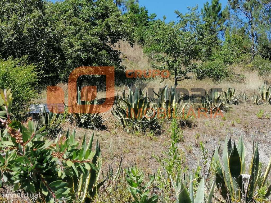 Magnífica propriedade tipo quintinha!!-39