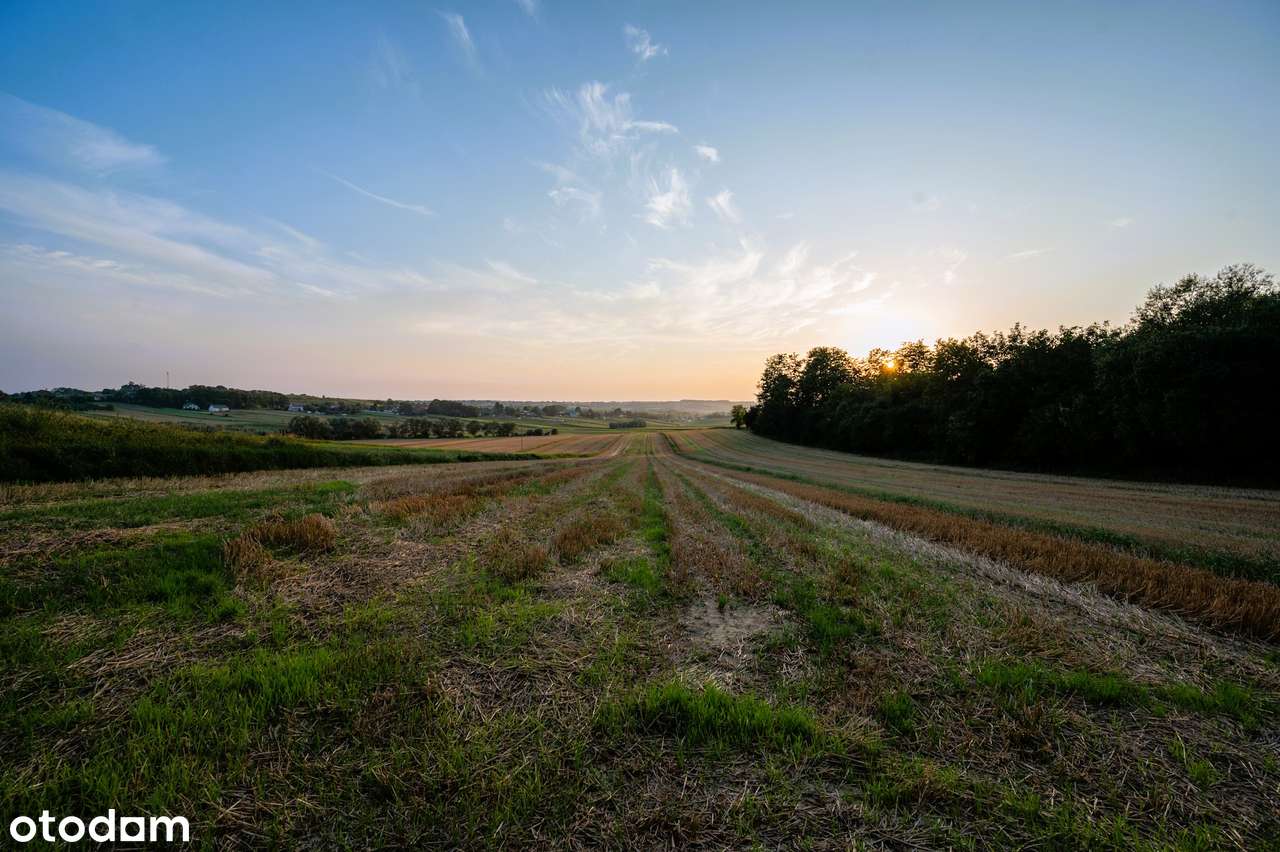 MICHAŁOWICE - Więcławice Dworskie - DOM 215m2, działka 11080 m2-0