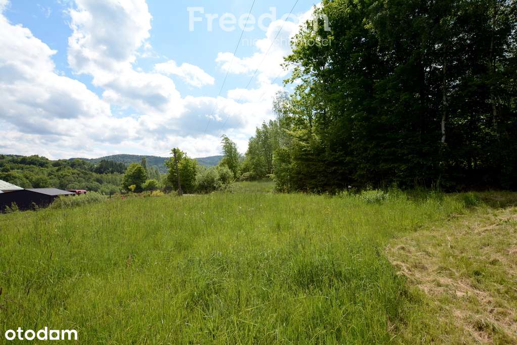 Widokowa działka budowlana przy lesie - Pełny obrazek: 5/18