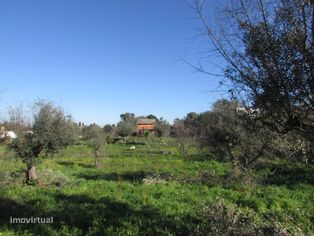 Lote de Terreno - Grande imagem: 5/31