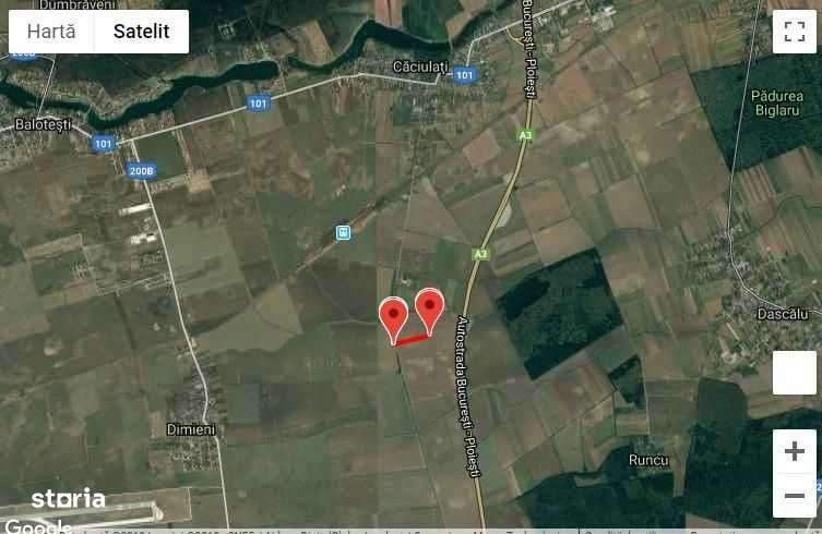 Teren 12.100mp extravilan Caciulati, Localitatea Moara Vlasiei A3 - Imagine principală: 4/4