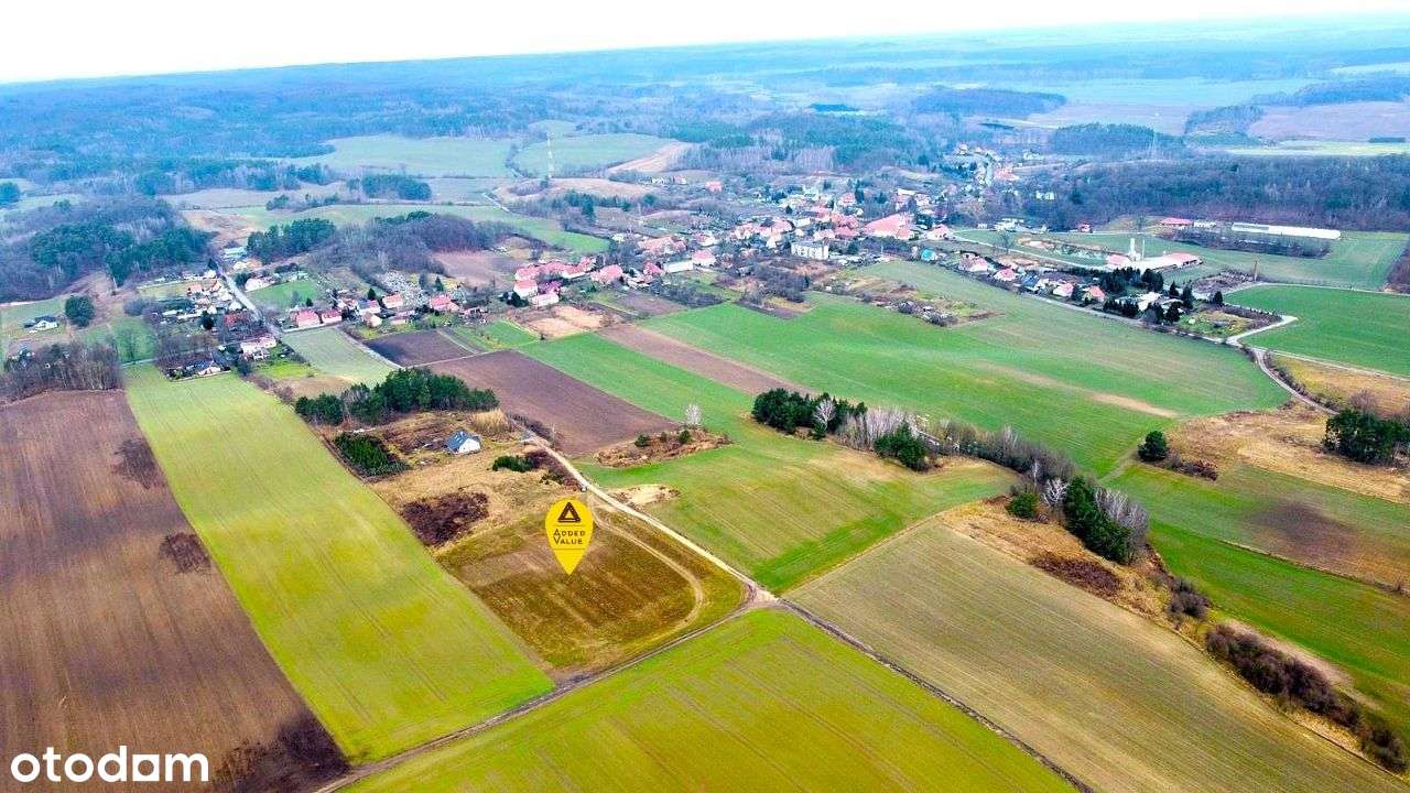 Działki w otoczeniu zieleni - 4km od Łagowa - Pełny obrazek: 5/8