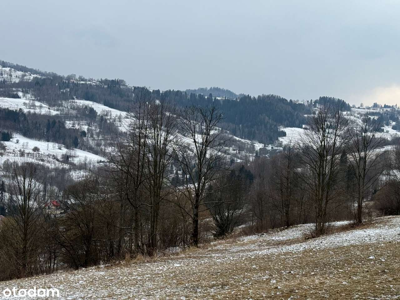 Piękna widokowa działka wysoko w górach idealna na rekreację! - Pełny obrazek: 5/9