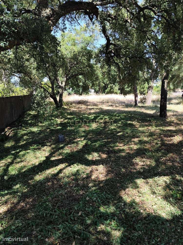 Terreno de 1110m2 Urbano, Oportunidade única - Grande imagem: 4/5