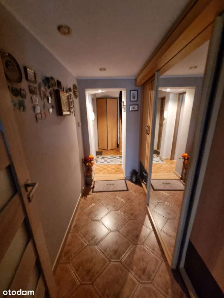 Dom w zabudowie bliźniaczej w Jelitkowie. - Pełny obrazek: 4/19