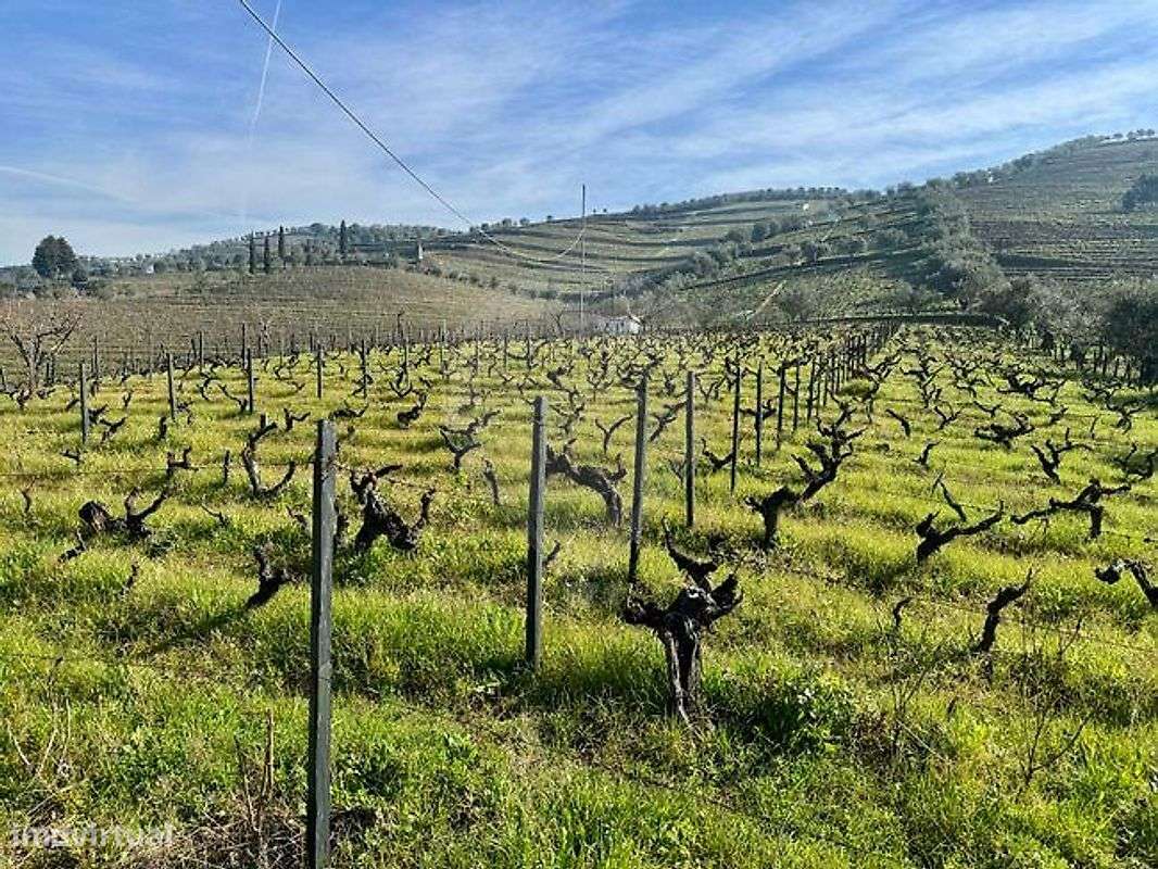 Terreno  para venda - Grande imagem: 5/9