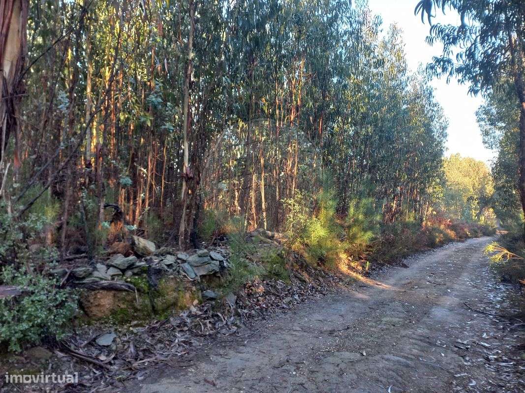 Terreno  para venda - Grande imagem: 3/4