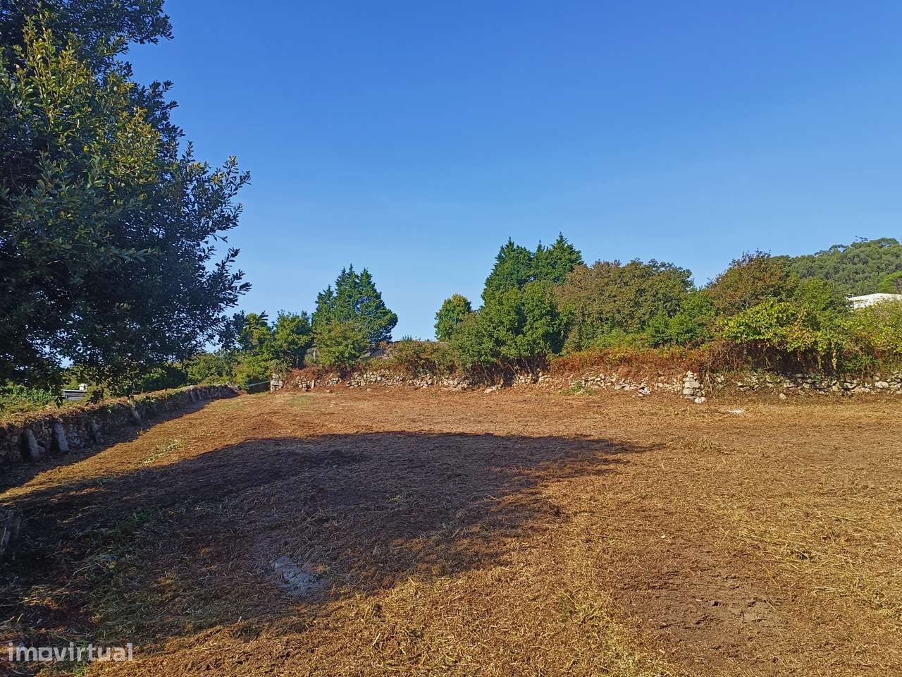 Terreno, Carreço - Grande imagem: 4/10