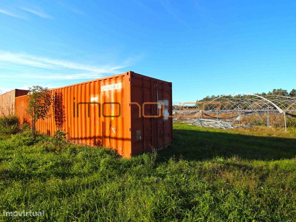 Quinta de 3,24ha - A 5min. Montemor-o-Velho-5
