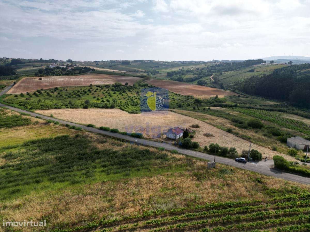 Terreno  com pequena casa no Carvalhal/Bombarral - Grande imagem: 5/13