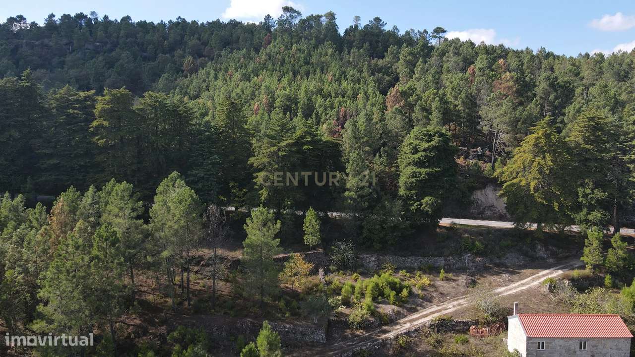 Quintinha próximo de Fornos de Algodres - Grande imagem: 5/9