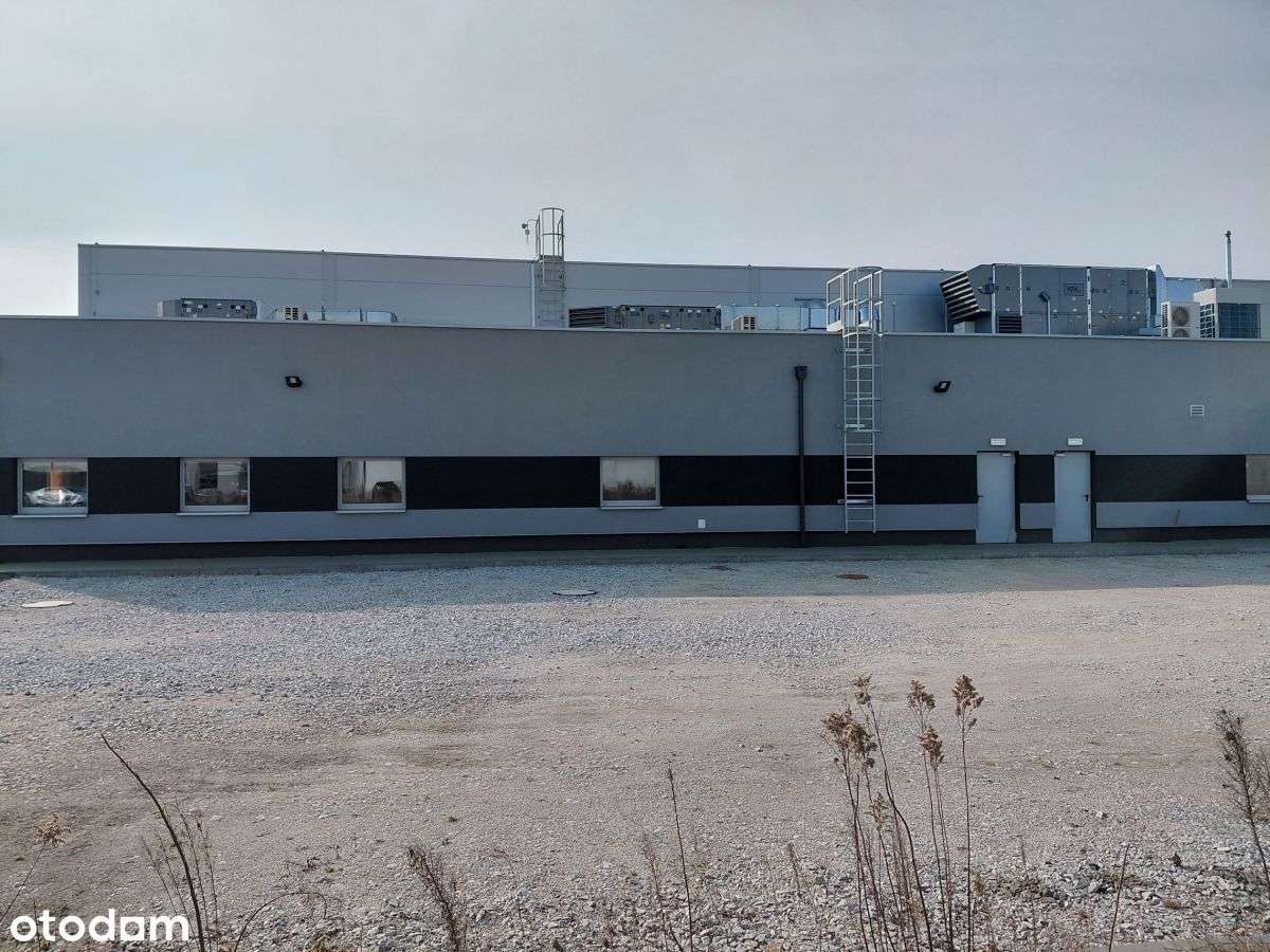 Wolnostojąca hala produkcyjna/magazyn-1