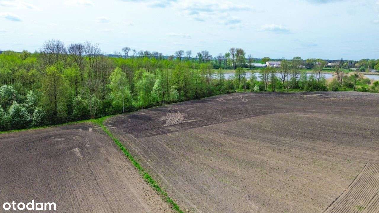 Działka z Ścianą LASU oraz Widokiem na ROZLEWISKA - Pełny obrazek: 3/5