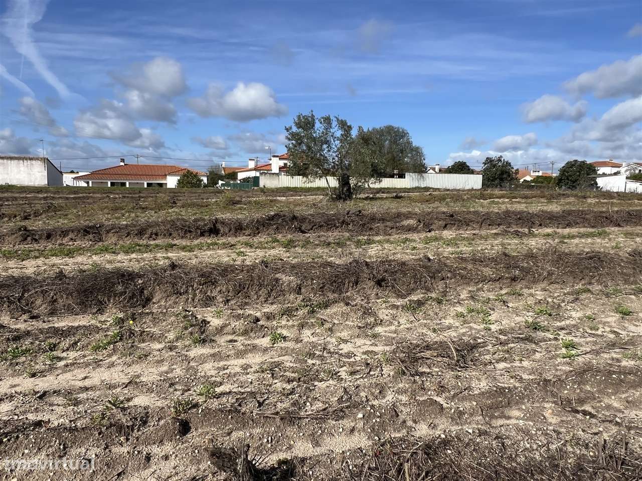 Terreno Para Construção  Venda em Biscainho,Coruche-9