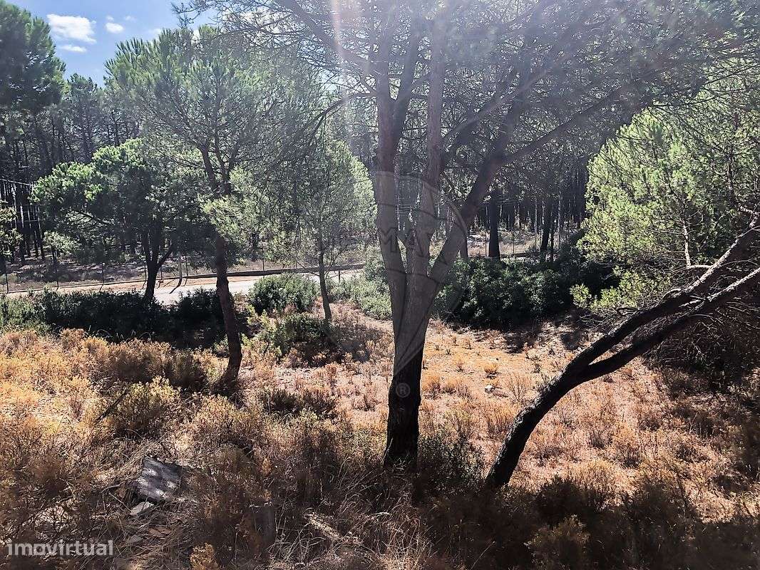 Terreno  para venda-10