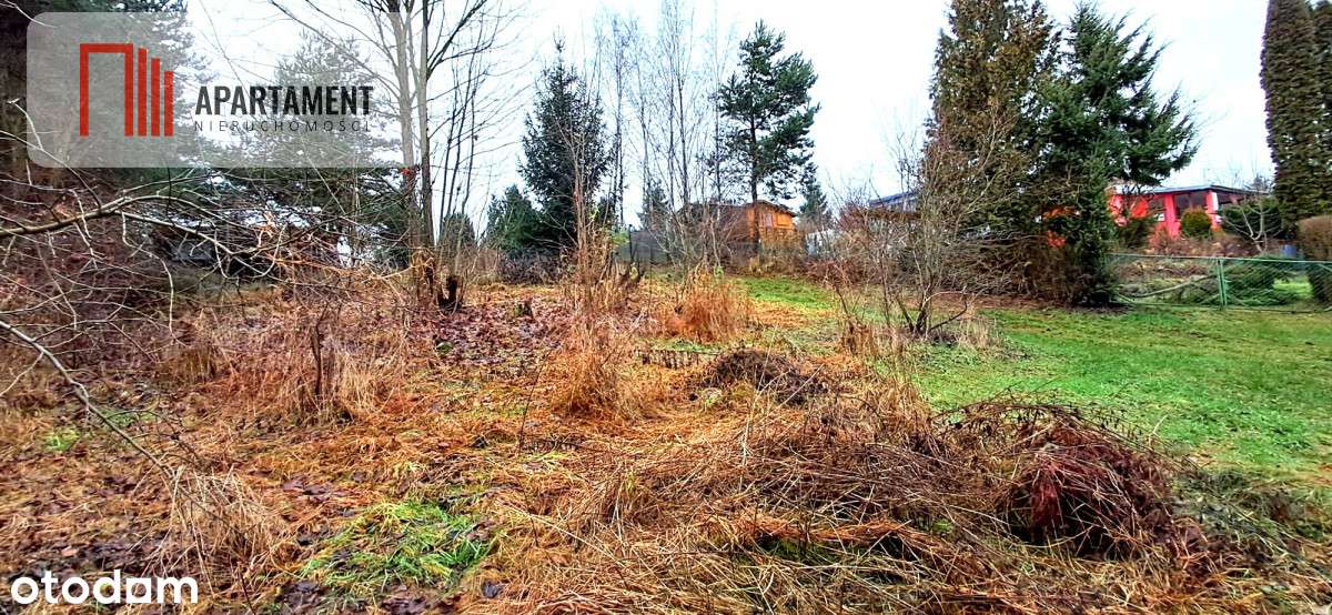 Niewielka działka w okolicy lasu i jeziora - Pełny obrazek: 5/9