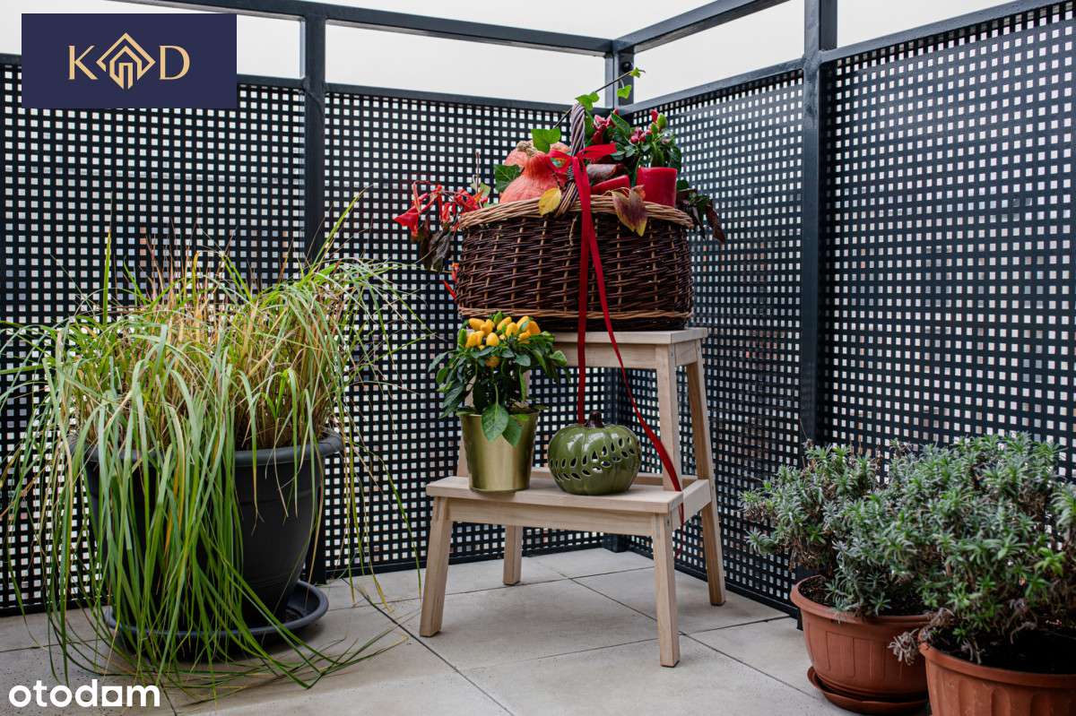 Piękne mieszkanie 3 pok.ul. Karpia, 2 m.postojowe!-15