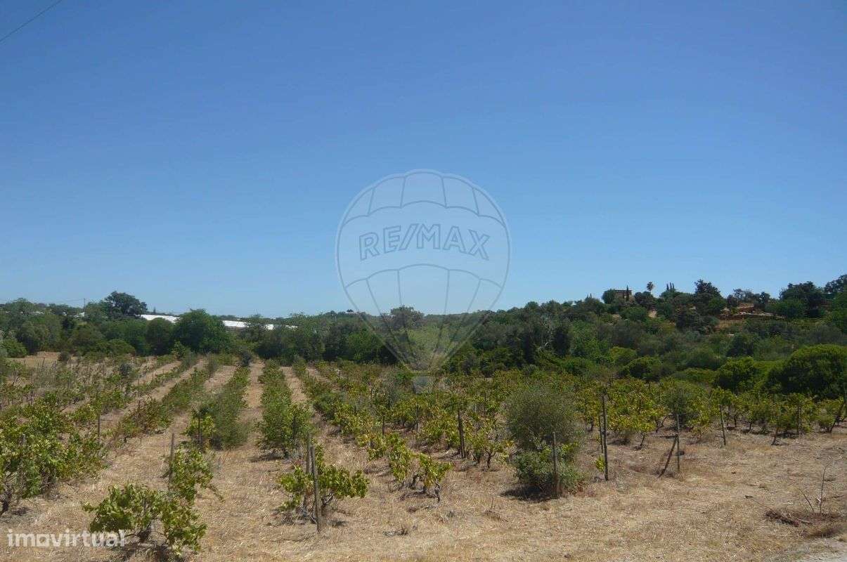 Terreno  para venda - Grande imagem: 5/10