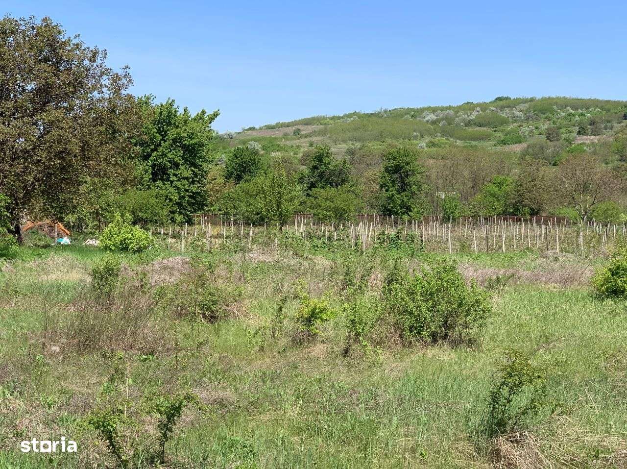 59.900 e Teren TOMESTI-OSOI la DN 2600 mp intravilan asfalt utilitati - Imagine principală: 5/9