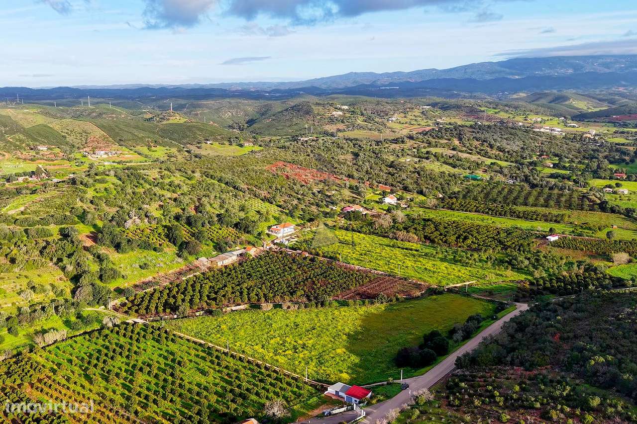 Quinta de 6,7ha com dois urbanos  na Mexilhoeira Grande - Grande imagem: 5/32
