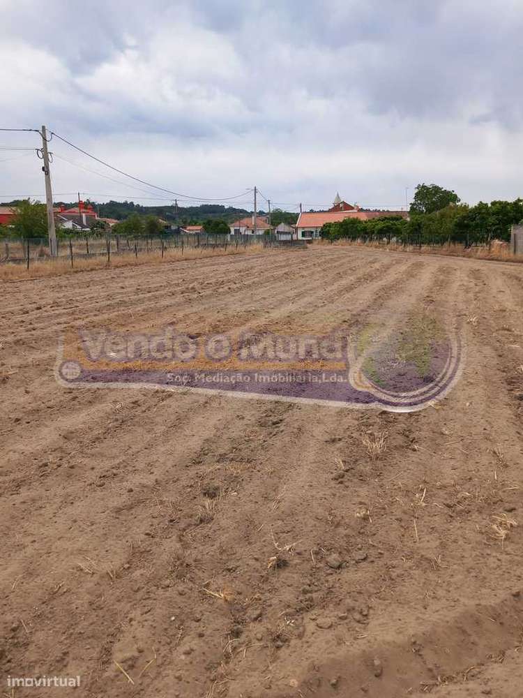 Terreno na Chamusca (STR043) - Grande imagem: 2/4